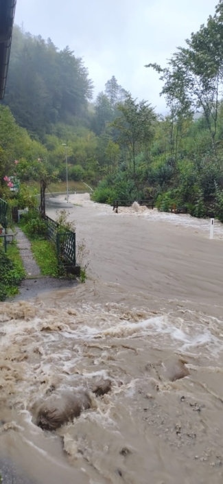 Brunnrotte 9, Rainer Berger