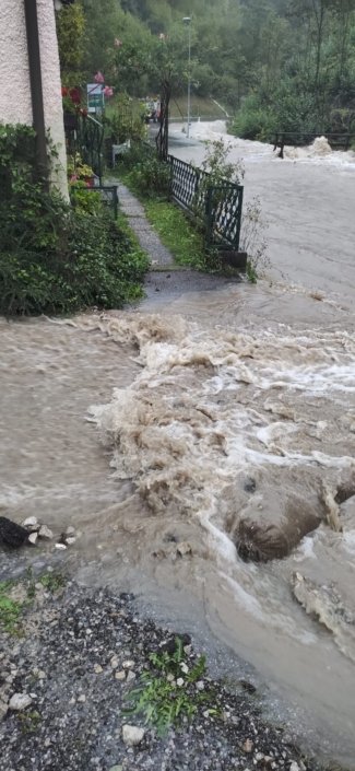 Brunnrotte 9, Rainer Berger