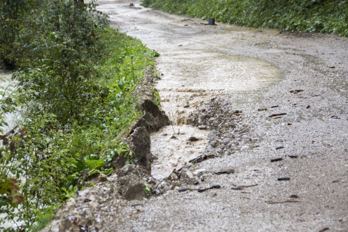 Steinrotte zw. Hofstatt und Kowald