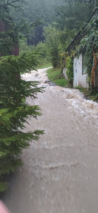 Brunnrotte 9, Rainer Berger