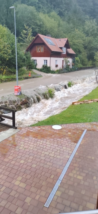 Brunnrotte 9, Rainer Berger