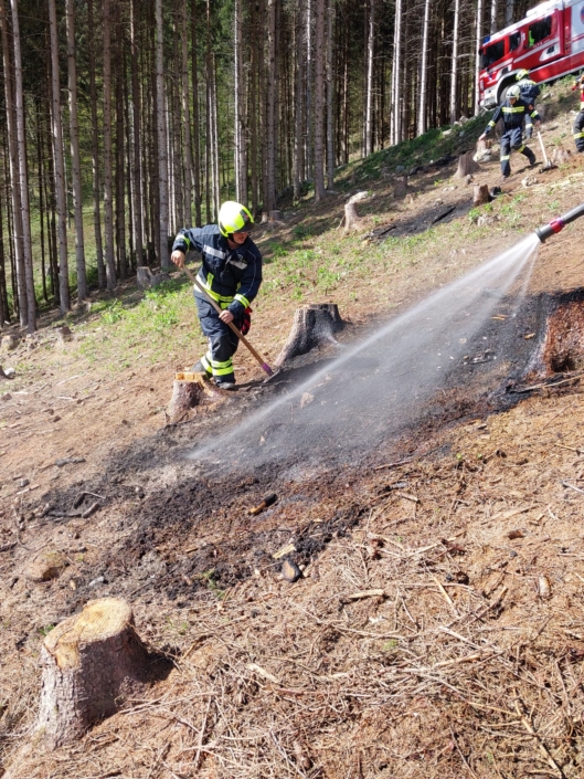 B2 Vegetationsbrand 19.4.2025 Falkensteinrotte-1