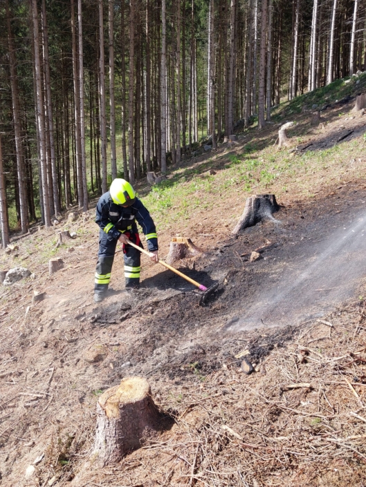 B2 Vegetationsbrand 19.4.2025 Falkensteinrotte-3